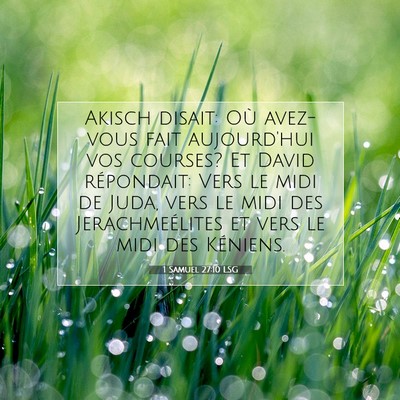 1 Samuel 27:10 LSG Image du verset biblique