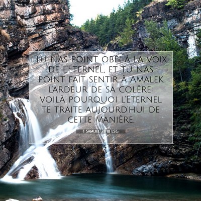 1 Samuel 28:18 LSG Image du verset biblique