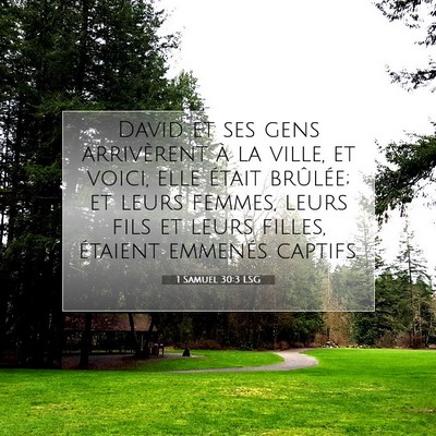 1 Samuel 30:3 LSG Image du verset biblique