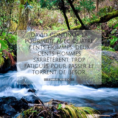 1 Samuel 30:10 LSG Image du verset biblique