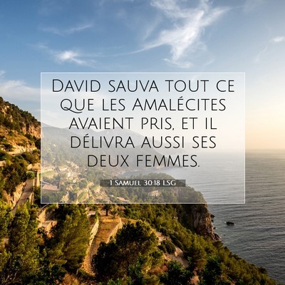 1 Samuel 30:18 Verset biblique expliqué