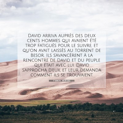 1 Samuel 30:21 LSG Image du verset biblique