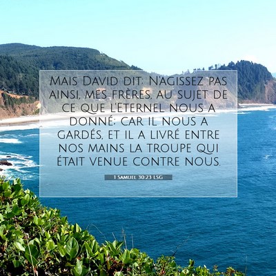 1 Samuel 30:23 LSG Image du verset biblique