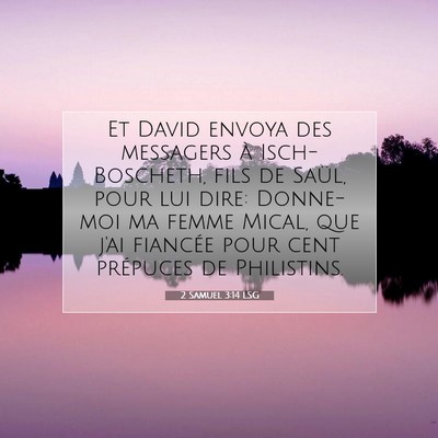 2 Samuel 3:14 LSG Image du verset biblique