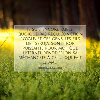 2 Samuel 3:39 LSG Image du verset biblique