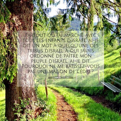 2 Samuel 7:7 LSG Image du verset biblique