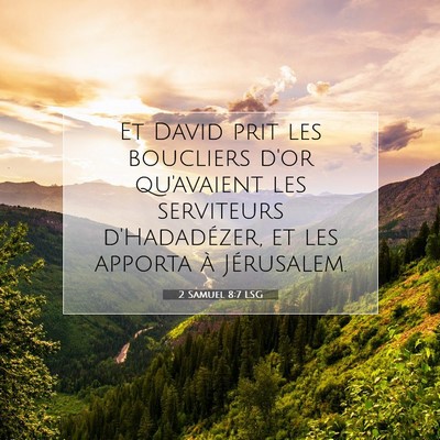 2 Samuel 8:7 Verset biblique expliqué