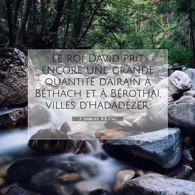 2 Samuel 8:8 LSG Image du verset biblique