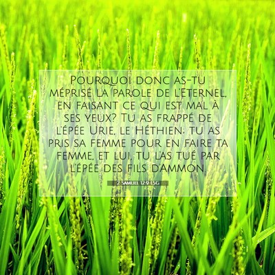 2 Samuel 12:9 LSG Image du verset biblique