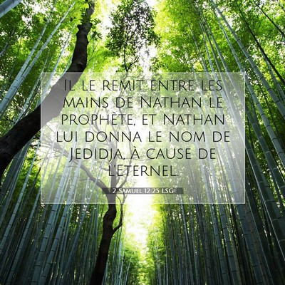 2 Samuel 12:25 LSG Image du verset biblique