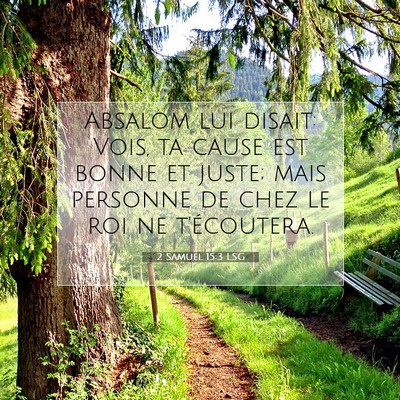 2 Samuel 15:3 LSG Image du verset biblique