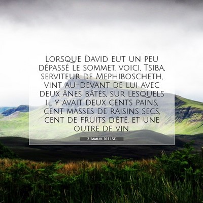 2 Samuel 16:1 LSG Image du verset biblique