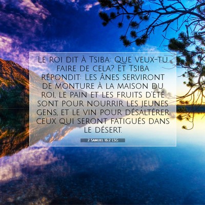 2 Samuel 16:2 LSG Image du verset biblique