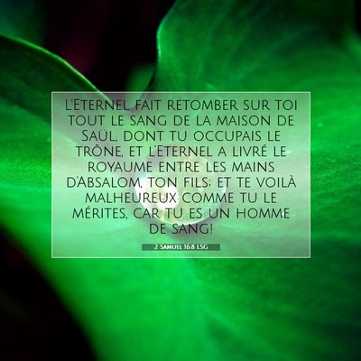 2 Samuel 16:8 LSG Image du verset biblique