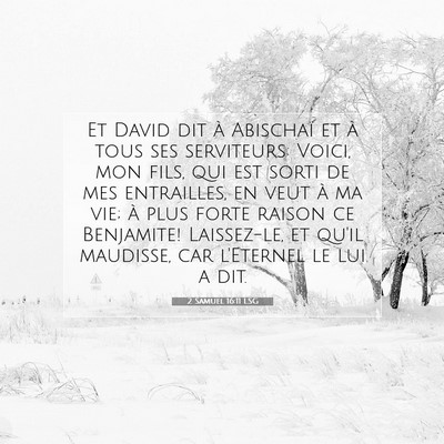 2 Samuel 16:11 LSG Image du verset biblique