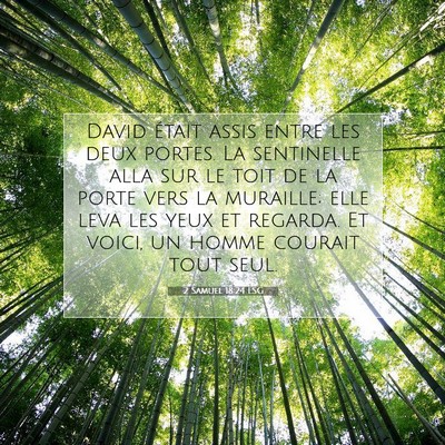 2 Samuel 18:24 LSG Image du verset biblique