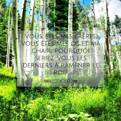 2 Samuel 19:12 LSG Image du verset biblique