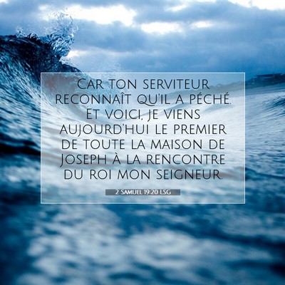 2 Samuel 19:20 LSG Image du verset biblique