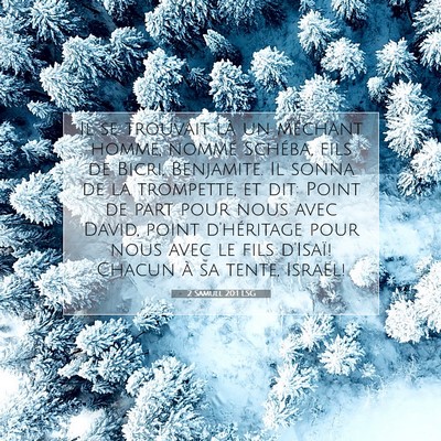 2 Samuel 20:1 LSG Image du verset biblique