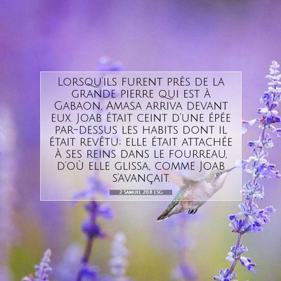 2 Samuel 20:8 LSG Image du verset biblique