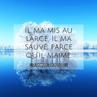 2 Samuel 22:20 LSG Image du verset biblique