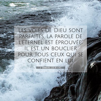 2 Samuel 22:31 LSG Image du verset biblique