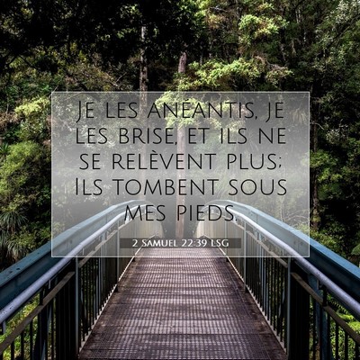 2 Samuel 22:39 LSG Image du verset biblique