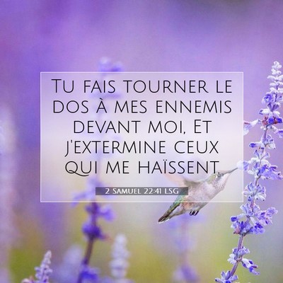 2 Samuel 22:41 LSG Image du verset biblique