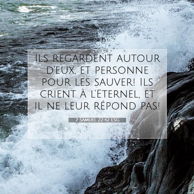 2 Samuel 22:42 LSG Image du verset biblique