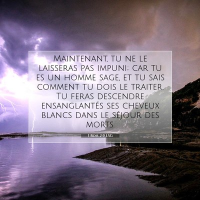 1 Rois 2:9 Verset biblique expliqué