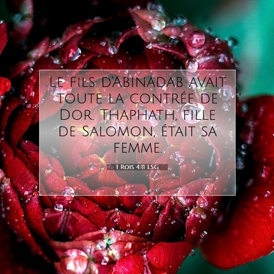 1 Rois 4:11 Verset biblique expliqué