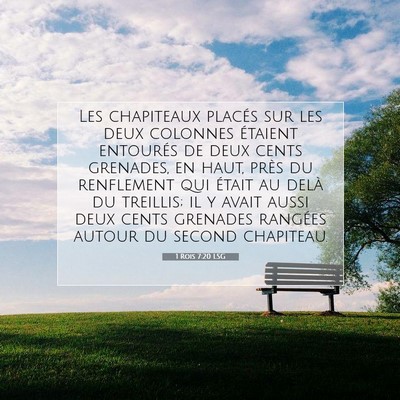 1 Rois 7:20 Verset biblique expliqué