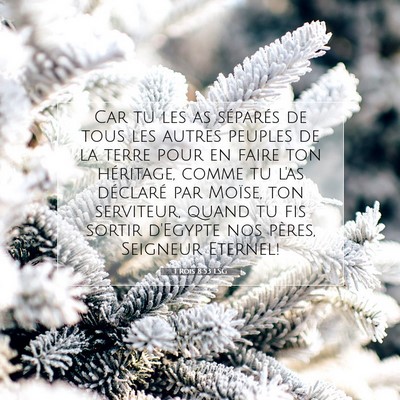 1 Rois 8:53 LSG Image du verset biblique