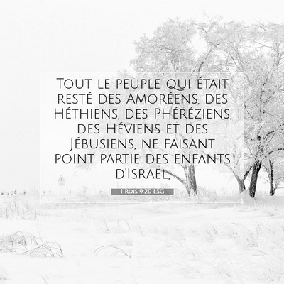 1 Rois 9:20 LSG Image du verset biblique