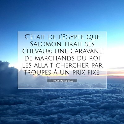 1 Rois 10:28 Verset biblique expliqué