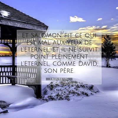 1 Rois 11:6 LSG Image du verset biblique