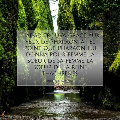 1 Rois 11:19 LSG Image du verset biblique