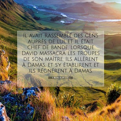 1 Rois 11:24 LSG Image du verset biblique