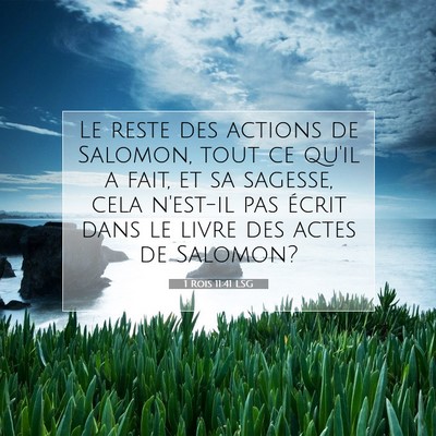 1 Rois 11:41 LSG Image du verset biblique