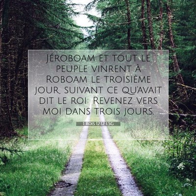 1 Rois 12:12 LSG Image du verset biblique