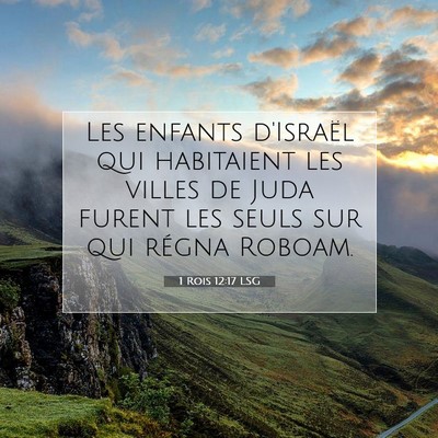 1 Rois 12:17 LSG Image du verset biblique