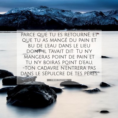 1 Rois 13:22 LSG Image du verset biblique