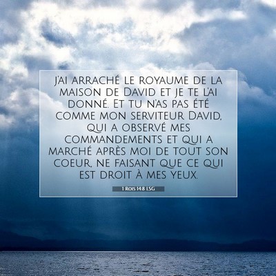 1 Rois 14:8 LSG Image du verset biblique