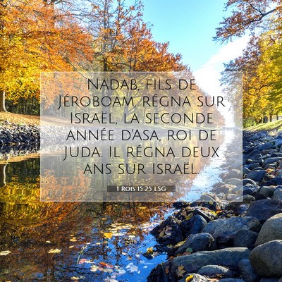 1 Rois 15:25 LSG Image du verset biblique