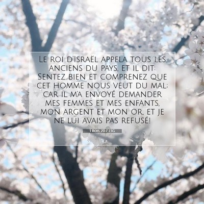 1 Rois 20:7 LSG Image du verset biblique