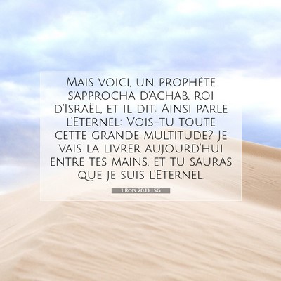 1 Rois 20:13 LSG Image du verset biblique