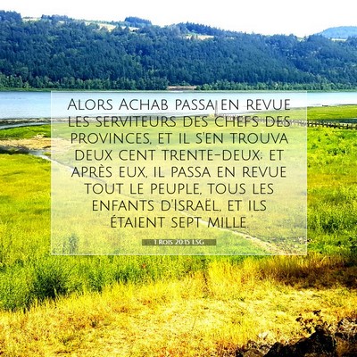 1 Rois 20:15 LSG Image du verset biblique