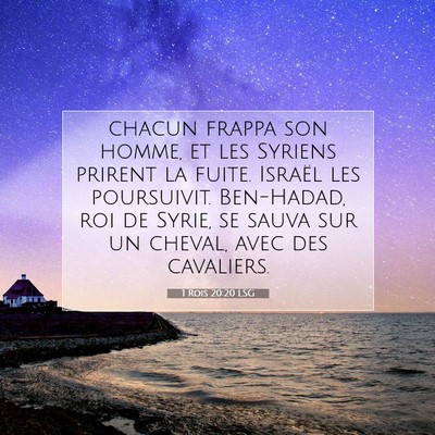 1 Rois 20:20 LSG Image du verset biblique