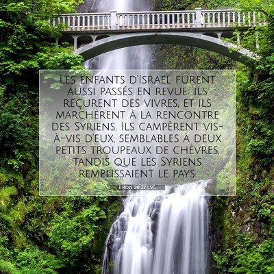 1 Rois 20:27 LSG Image du verset biblique