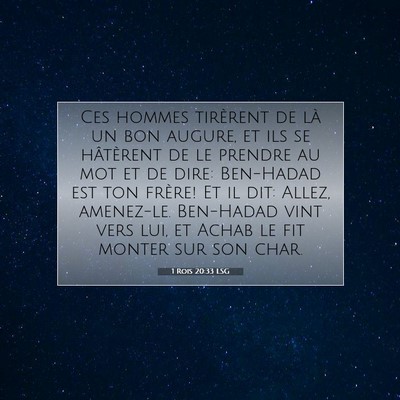 1 Rois 20:33 LSG Image du verset biblique